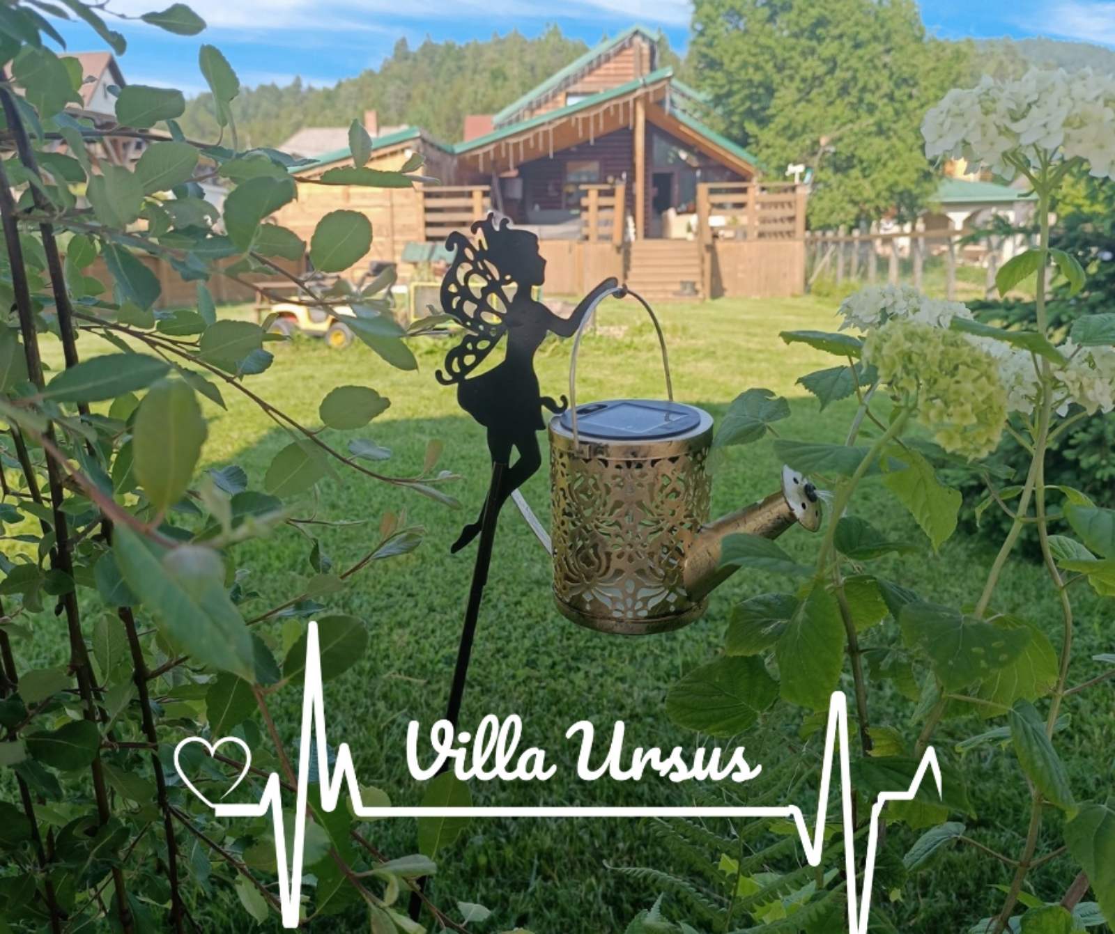 viber_image_2026-02-26_11-50-23-013