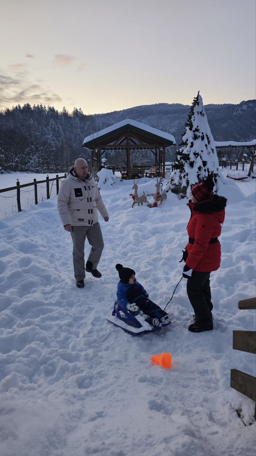 viber_image_2026-03-02_16-19-42-312