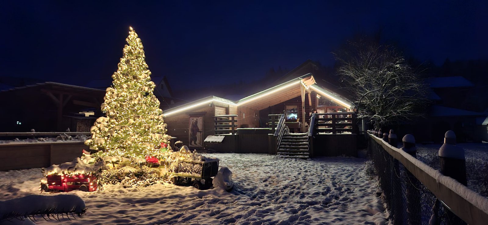 viber_image_2026-03-02_16-19-42-994