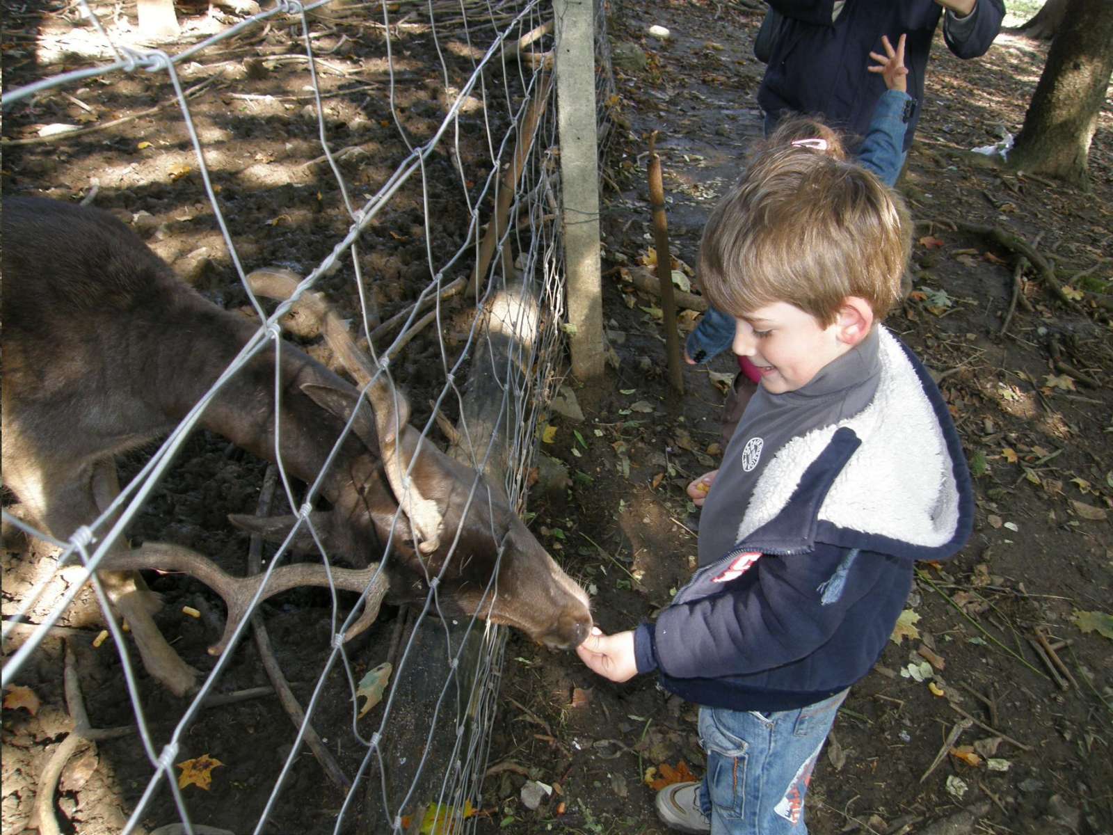 viber_image_2026-03-02_16-58-01-689