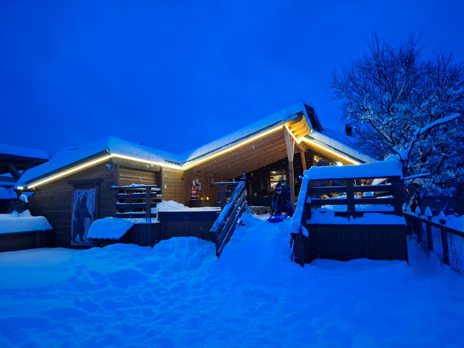 viber_image_2026-03-02_17-18-49-258