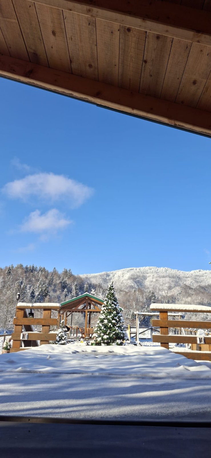 viber_image_2026-03-02_17-18-49-725